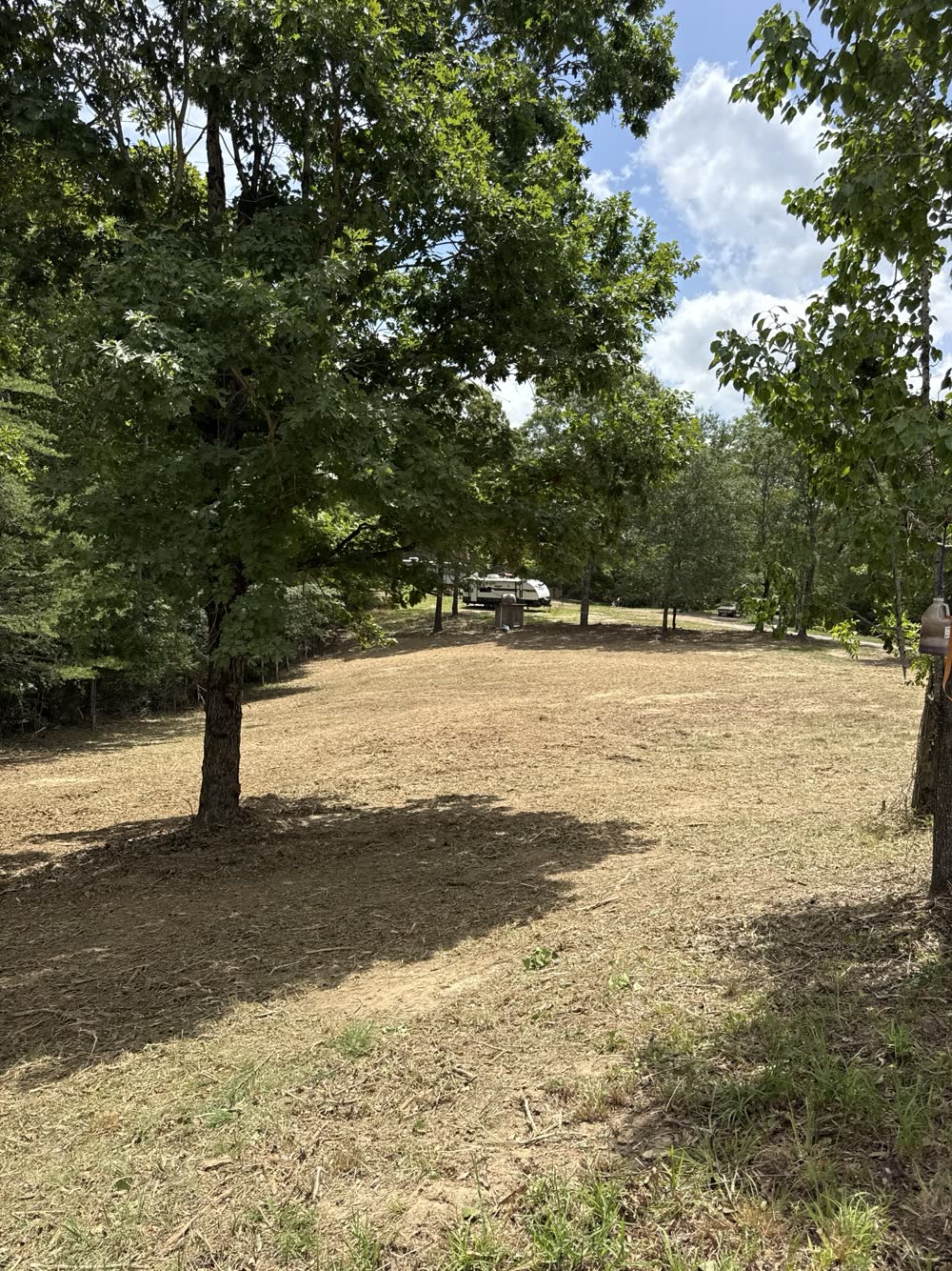 Cleared lot with shade trees kept and an RV parked beyond